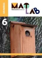 MatLab 6 - grundbog af Ole Freil, Thomas Kaas og Heidi Kristiansen