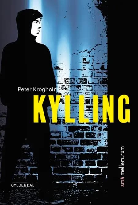 små mellem_rum. Kylling af Peter Krogholm