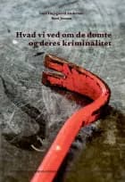 Hvad vi ved om de dømte og deres kriminalitet af Rockwool Fondens Forskningsenhed og Lars Højsgaard Andersen