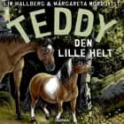 Teddy 10 - Den lille helt af Lin Hallberg