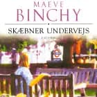 Skæbner undervejs af Maeve Binchy