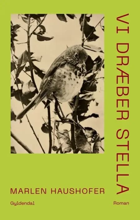 Vi dræber Stella af Marlen Haushofer