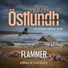 Fredrik Broman 3 - Flammer af Håkan Östlundh