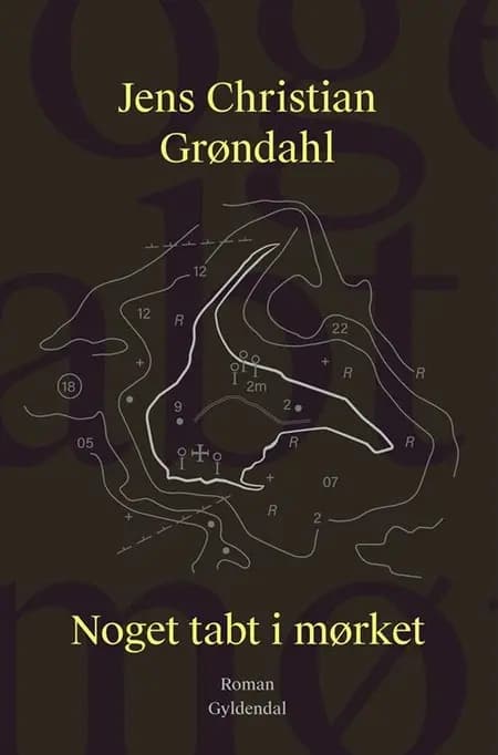 Noget tabt i mørket af Jens Christian Grøndahl