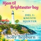 Hjem til Brightwater Bay 1: Knuste hjerter af Holly Hepburn