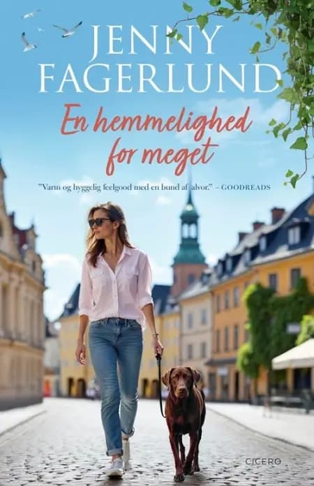 En hemmelighed for meget af Jenny Fagerlund