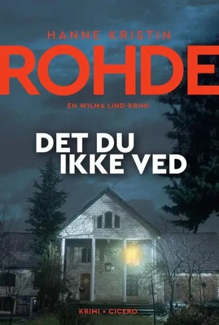 Det du ikke ved af Hanne Kristin Rohde