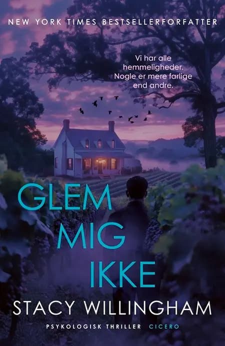 Glem mig ikke af Stacy Willingham