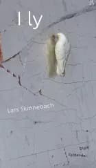 I ly af Lars Skinnebach