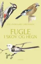 Fugle i skov og hegn af Jens Overgaard Christensen