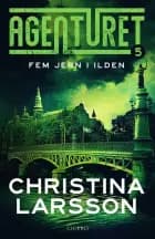 Agenturet 5 - Fem jern i ilden af Christina Larsson