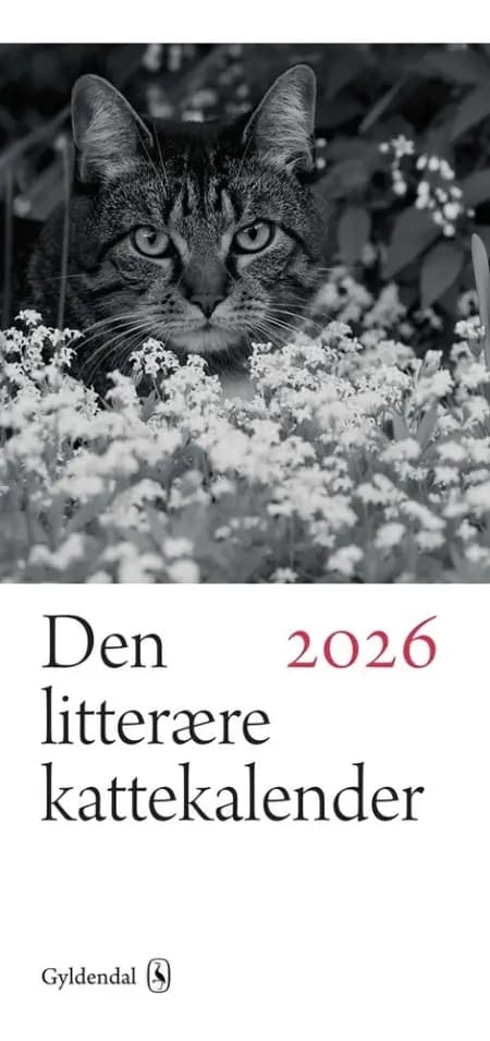 Den litterære kattekalender 2026 af Anne Rohweder