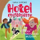 Hotelmysterierne - Den forsvundne brudgom af Sara Ejersbo