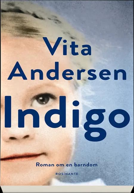 Indigo af Vita Andersen