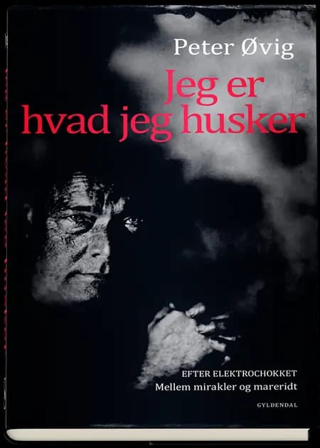 Jeg er hvad jeg husker af Peter Øvig Knudsen