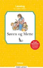 Søren og Mette læsebog 0.-1. kl. Niv. 1 af Knud Hermansen og Ejvind Jensen