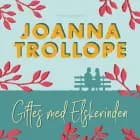 Giftes med elskerinden af Joanna Trollope