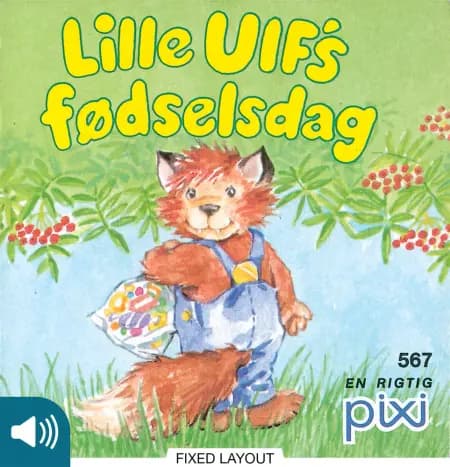 Lille Ulf's fødselsdag af Heidi Bruhn