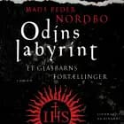 Odins labyrint - et glasbarns fortællinger af Mads Peder Nordbo