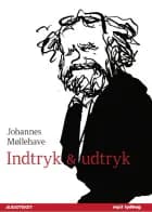 Indtryk og udtryk af Johannes Møllehave