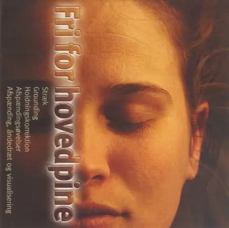 Fri for hovedpine af Bodil Hjorth