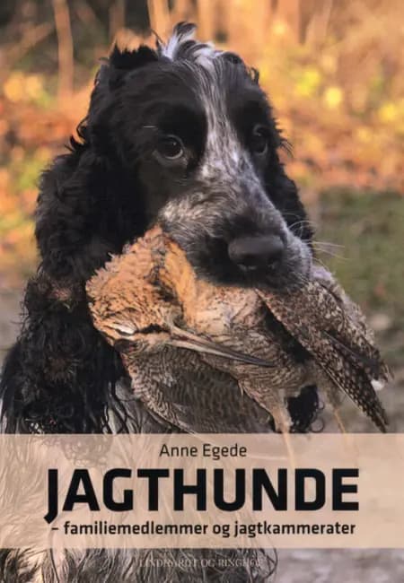 Jagthunde af Anne Egede