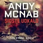 Sidste udkald af Andy McNab