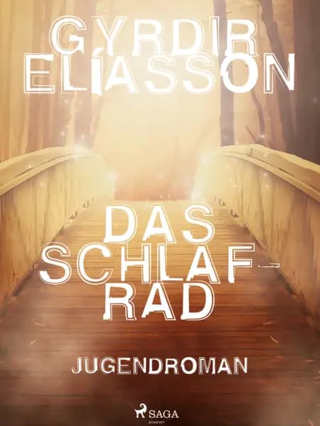 Das Schlafrad af Gyrðir Elíasson
