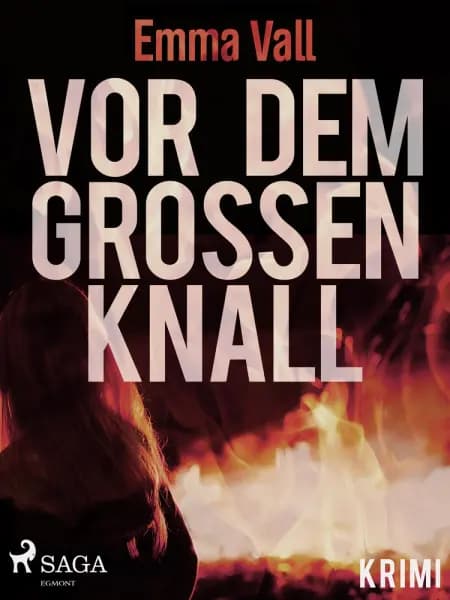 Vor dem großen Knall af Emma Vall