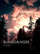 Blindgænger af Peder Hove