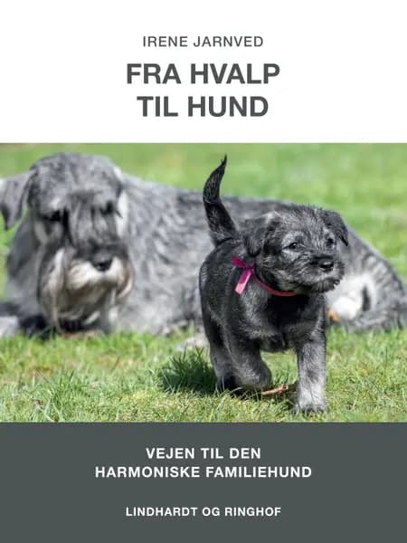 Fra hvalp til hund af Irene H. Jarnved