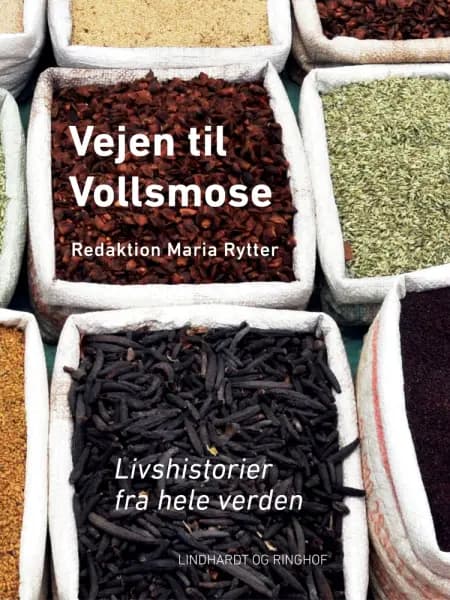 Vejen til Vollsmose af Maria Rytter