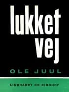 Lukket vej af Ole Juul