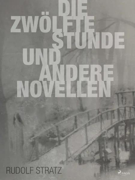 Die zwölfte Stunde und andere Novellen af Rudolf Stratz