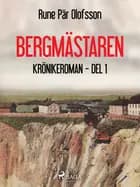 Bergmästaren : krönikeroman, del 1 af Rune Pär Olofsson