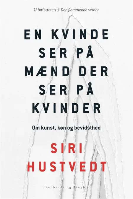 En kvinde ser på mænd der ser på kvinder af Siri Hustvedt