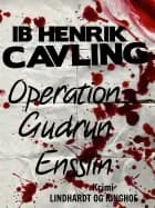 Operation Gudrun Ensslin af Ib Henrik Cavling