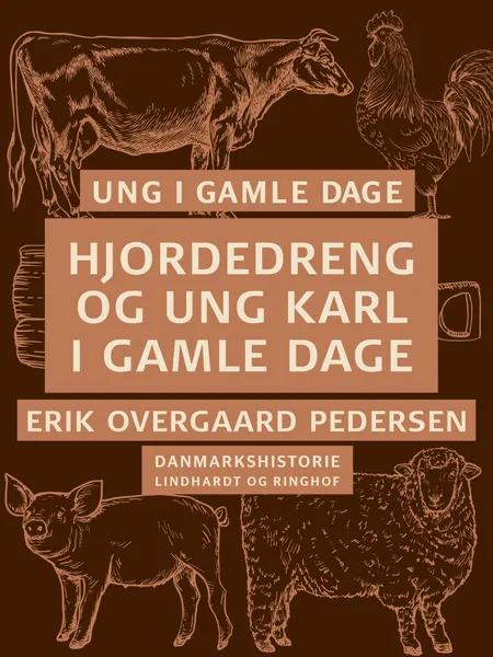 Hjordedreng og ung karl i gamle dage af Erik Overgaard Pedersen