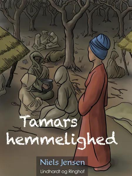Tamars hemmelighed af Niels Jensen