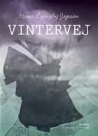 Vintervej af Hans Lyngby Jepsen