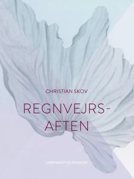 Regnvejrsaften af Christian Skov