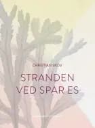 Stranden ved Spar Es af Christian Skov
