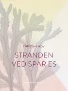Stranden ved Spar Es af Christian Skov