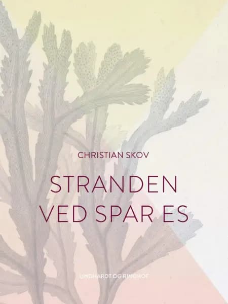 Stranden ved Spar Es af Christian Skov