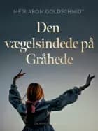 Den vægelsindede på Gråhede af Meïr Aron Goldschmidt