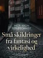 Små skildringer fra fantasi og virkelighed af Meïr Aron Goldschmidt