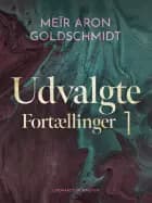 Udvalgte fortællinger 1 af Meïr Aron Goldschmidt