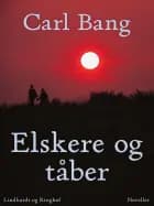 Elskere og tåber af Carl Bang