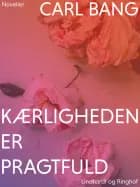 Kærligheden er pragtfuld af Carl Bang