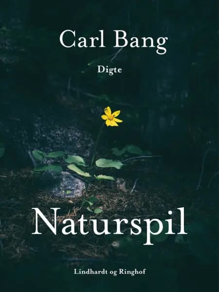 Naturspil af Carl Bang